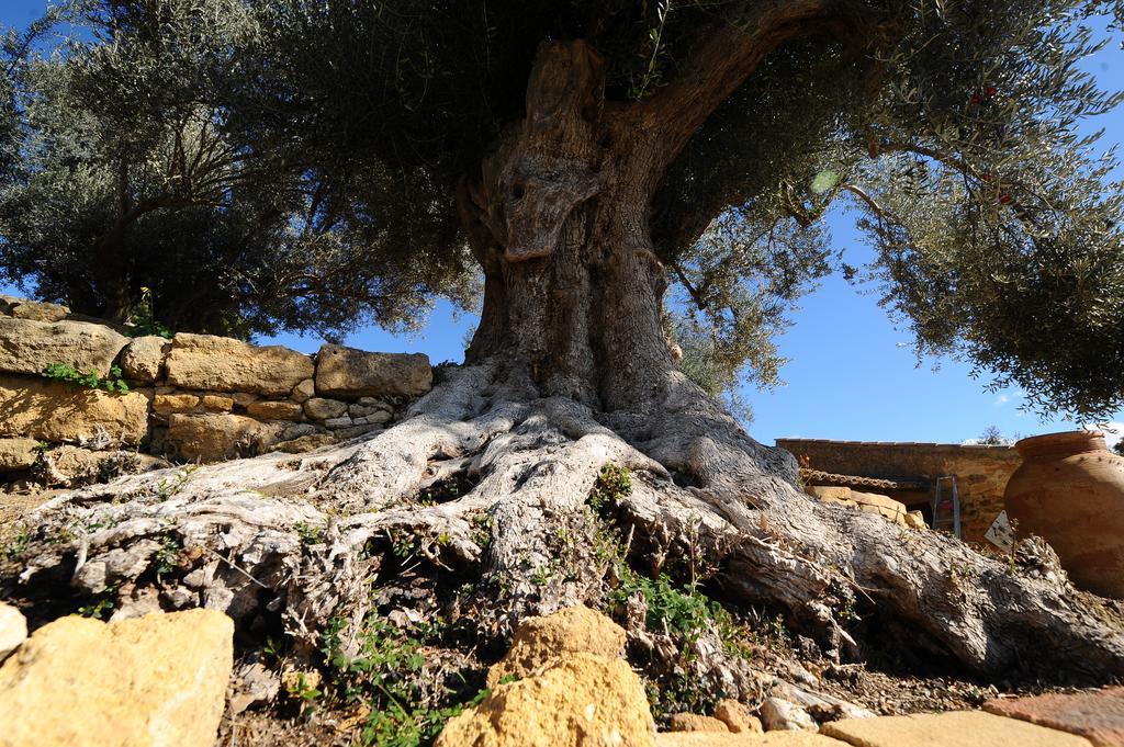 Villa La Lumia B&B Suites & Apartments Agrigento Exterior foto
