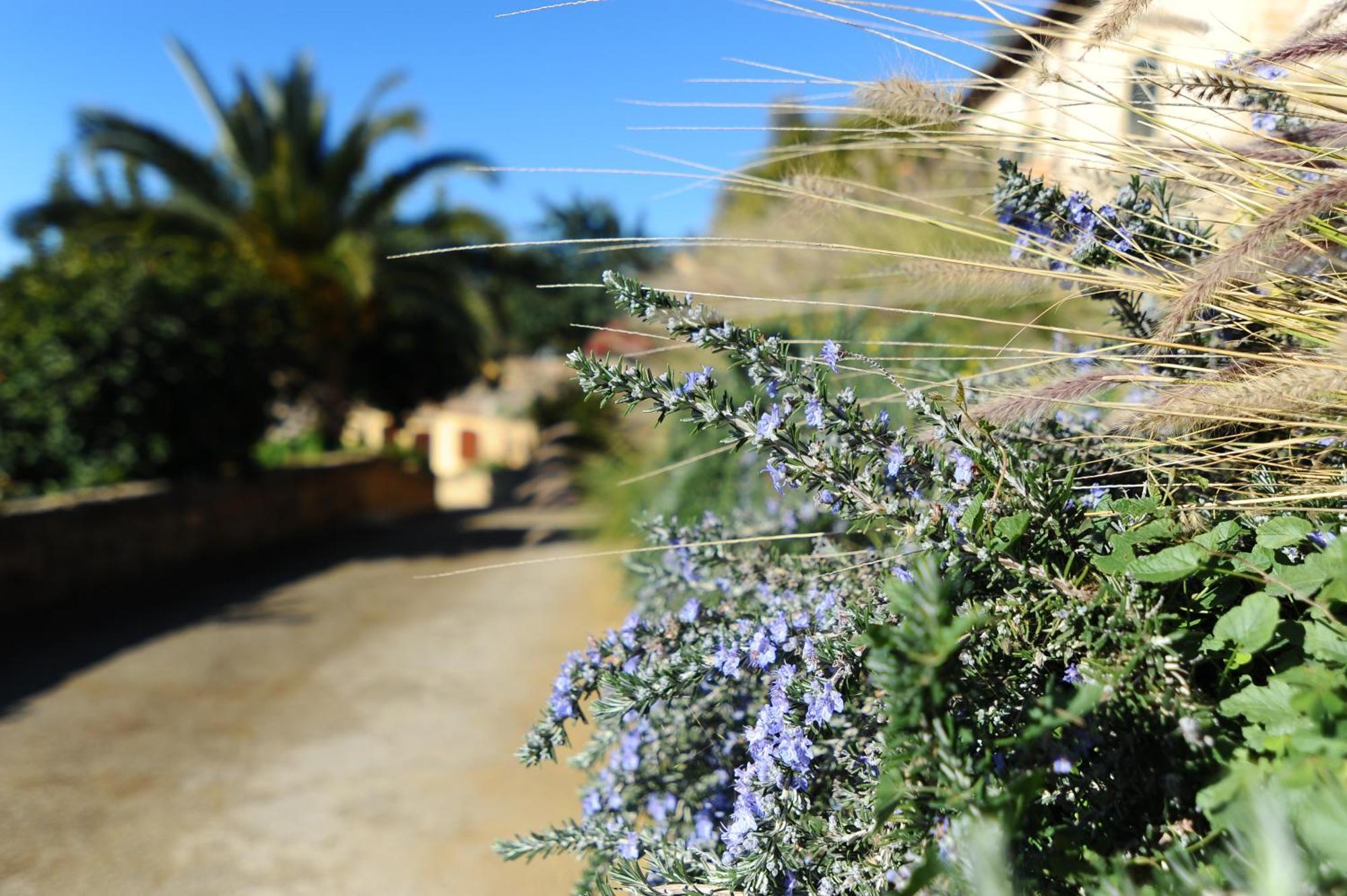 Villa La Lumia B&B Suites & Apartments Agrigento Exterior foto